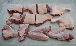 Duck Cut Up Into Parts