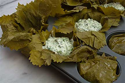 Using Leftover Grape Leaves to Make Delicious Yogurt Pie Using Leftover Grape Leaves to Make Delicious Yogurt Pie