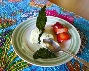 Cow Parsnip Ice Cream with Cow Parsnip Chips and Strawberries. Photograph by Laurie Constantino