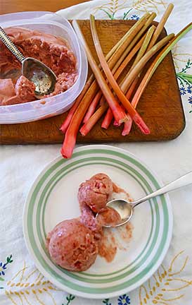 Rhubarb-Crystallized Ginger Sorbet. Photograph by Laurie Constantino
