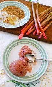 Rhubarb-Crystallized Ginger Sorbet. Photography by Laurie Constantino